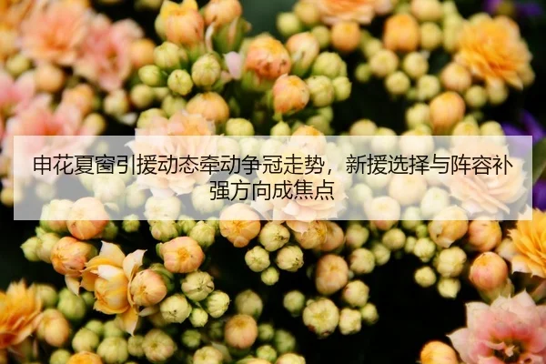 申花夏窗引援动态牵动争冠走势，新援选择与阵容补强方向成焦点